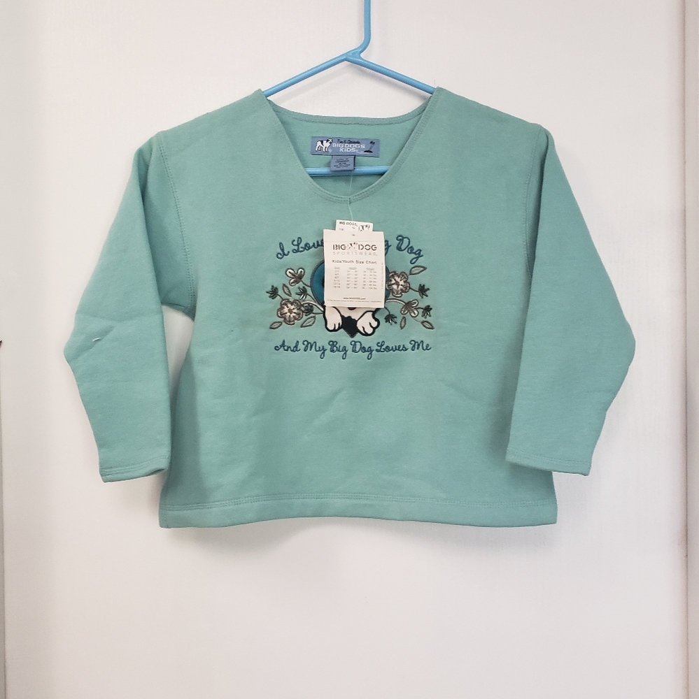 Big Dogs sweatshirt teal 4/5